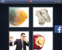 4 Pics 1 Word Answers: Level 3061