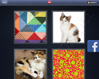 4 Pics 1 Word Answers: Level 3062