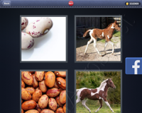 4 Pics 1 Word Answers: Level 3071