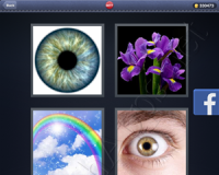 4 Pics 1 Word Answers: Level 3077