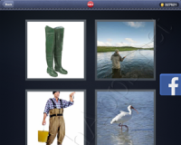 4 Pics 1 Word Answers: Level 3084