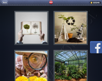 4 Pics 1 Word Answers: Level 3090