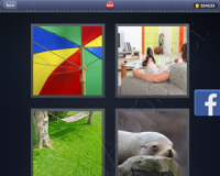 4 Pics 1 Word Answers: Level 3092