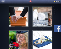 4 Pics 1 Word Answers: Level 3114