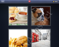 4 Pics 1 Word Answers: Level 667
