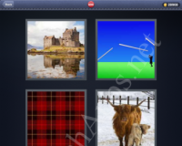 4 Pics 1 Word Answers: Level 699