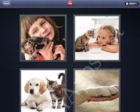 4 Pics 1 Word Answers: Level 794
