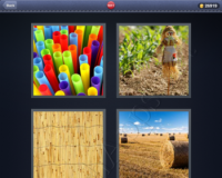 4 Pics 1 Word Answers: Level 1011