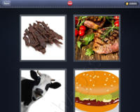 4 Pics 1 Word Answers: Level 1025