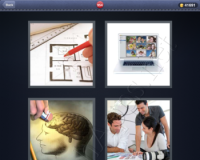 4 Pics 1 Word Answers: Level 954