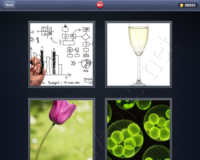 4 Pics 1 Word Answers: Level 967