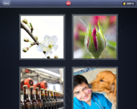 4 Pics 1 Word Answers: Level 995