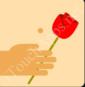 Icon Pop Quiz Answers AMERICAN BEAUTY