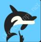 Icon Pop Quiz Answers FREE WILLY