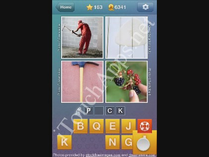 What's the Word Level 163 Solution