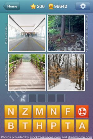 What's the Word Level 206 Solution
