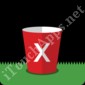 Icon Pop Quiz Answers PROJECT X