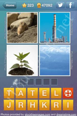 What's the Word Level 323 Solution