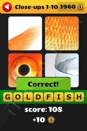 What's That Word Close-ups Level 1-10 Solution