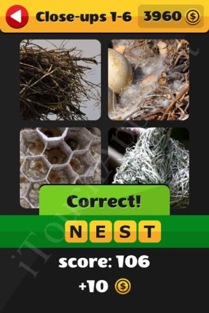 What's That Word Close-ups Level 1-6 Solution
