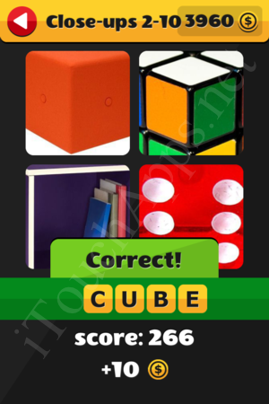 What's That Word Close-ups Level 2-10 Solution