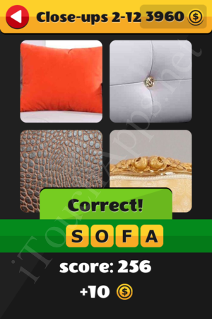 What's That Word Close-ups Level 2-12 Solution