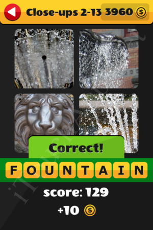What's That Word Close-ups Level 2-13 Solution