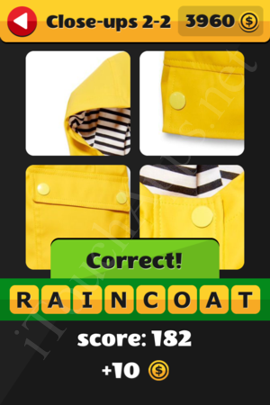What's That Word Close-ups Level 2-2 Solution