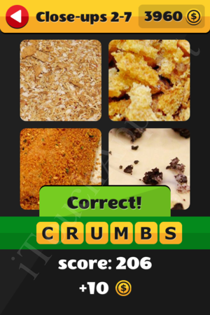 What's That Word Close-ups Level 2-7 Solution