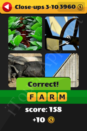 What's That Word Close-ups Level 3-10 Solution