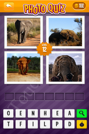 Photo Quiz Easy Pack Level 12 Solution