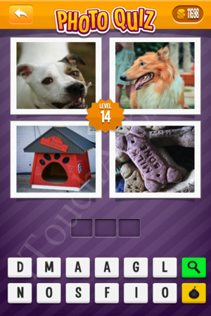Photo Quiz Easy Pack Level 14 Solution