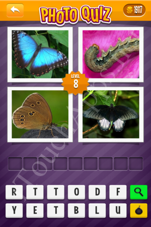 Photo Quiz Easy Pack Part 2 Level 8 Solution
