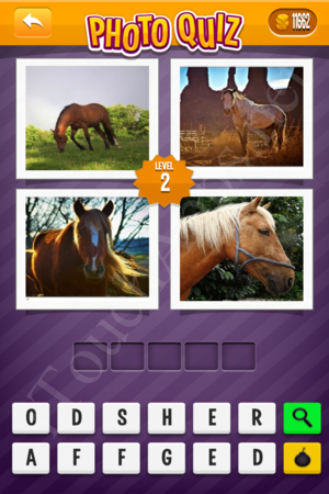 Photo Quiz Easy Pack Level 2 Solution