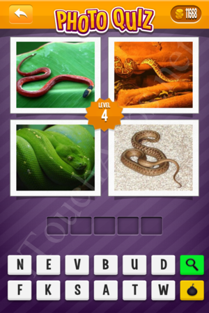Photo Quiz Easy Pack Level 4 Solution