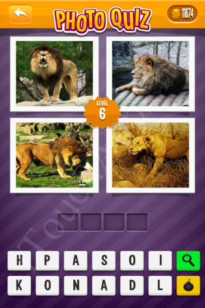 Photo Quiz Easy Pack Level 6 Solution