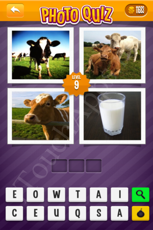 Photo Quiz Easy Pack Level 9 Solution