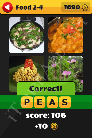 What's That Word Food and Drinks Level 2-4 Solution