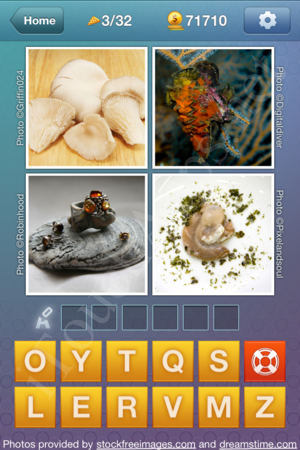 What's the Word Food and Cooking Level 3 Solution