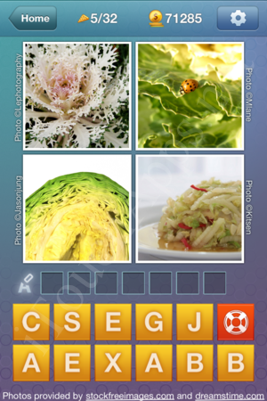 What's the Word Food and Cooking Level 5 Solution