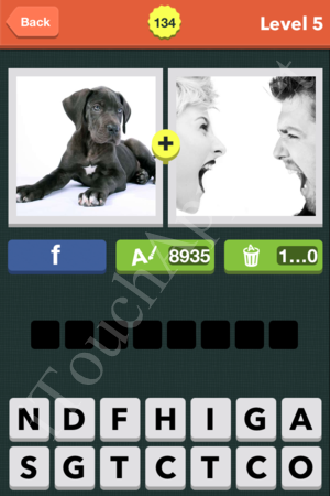 Pic Combo Level 134 Answer