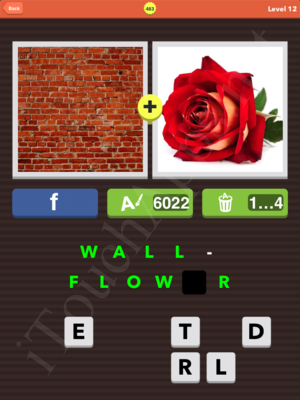 Pic Combo Level 483 Answer