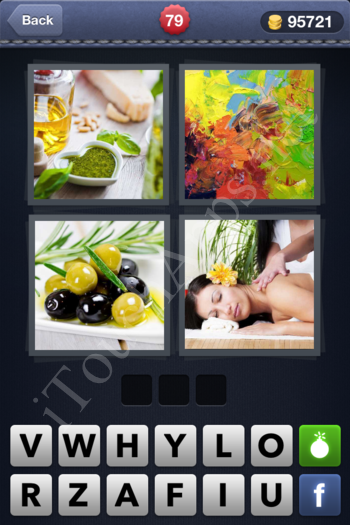 4 Pics 1 Word Level 79 Solution