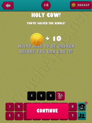 What the Riddle Level 16 Answer