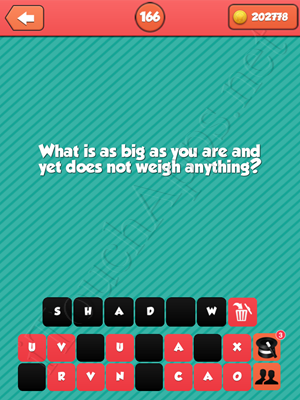 Riddle Me That Level 166 Answer