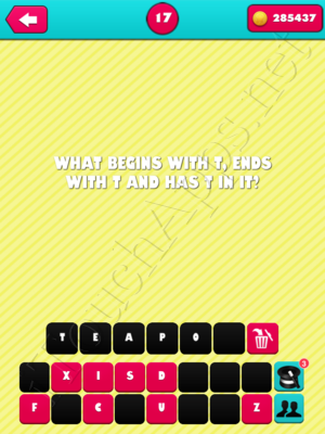 What the Riddle Level 17 Answer
