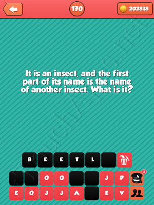 Riddle Me That Level 170 Answer