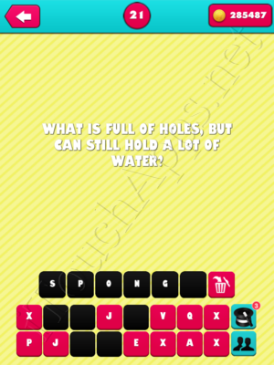 What the Riddle Level 21 Answer