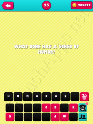 What the Riddle Level 25 Answer