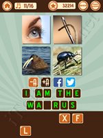 4 Pics 1 Song Level 10 Pic 11